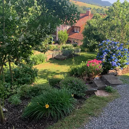 Gartenblick Διαμέρισμα *